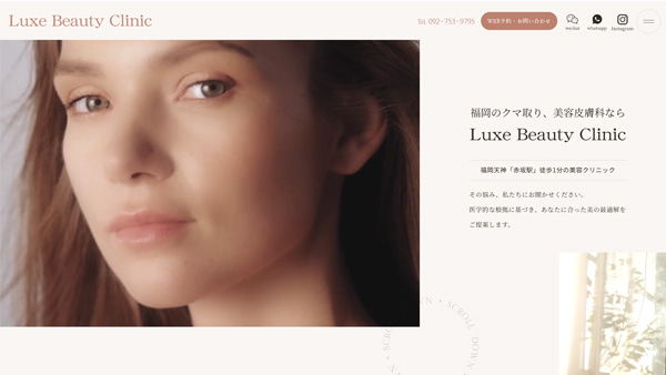 運用サイトの実績｜Luxe Beauty Clinic 様